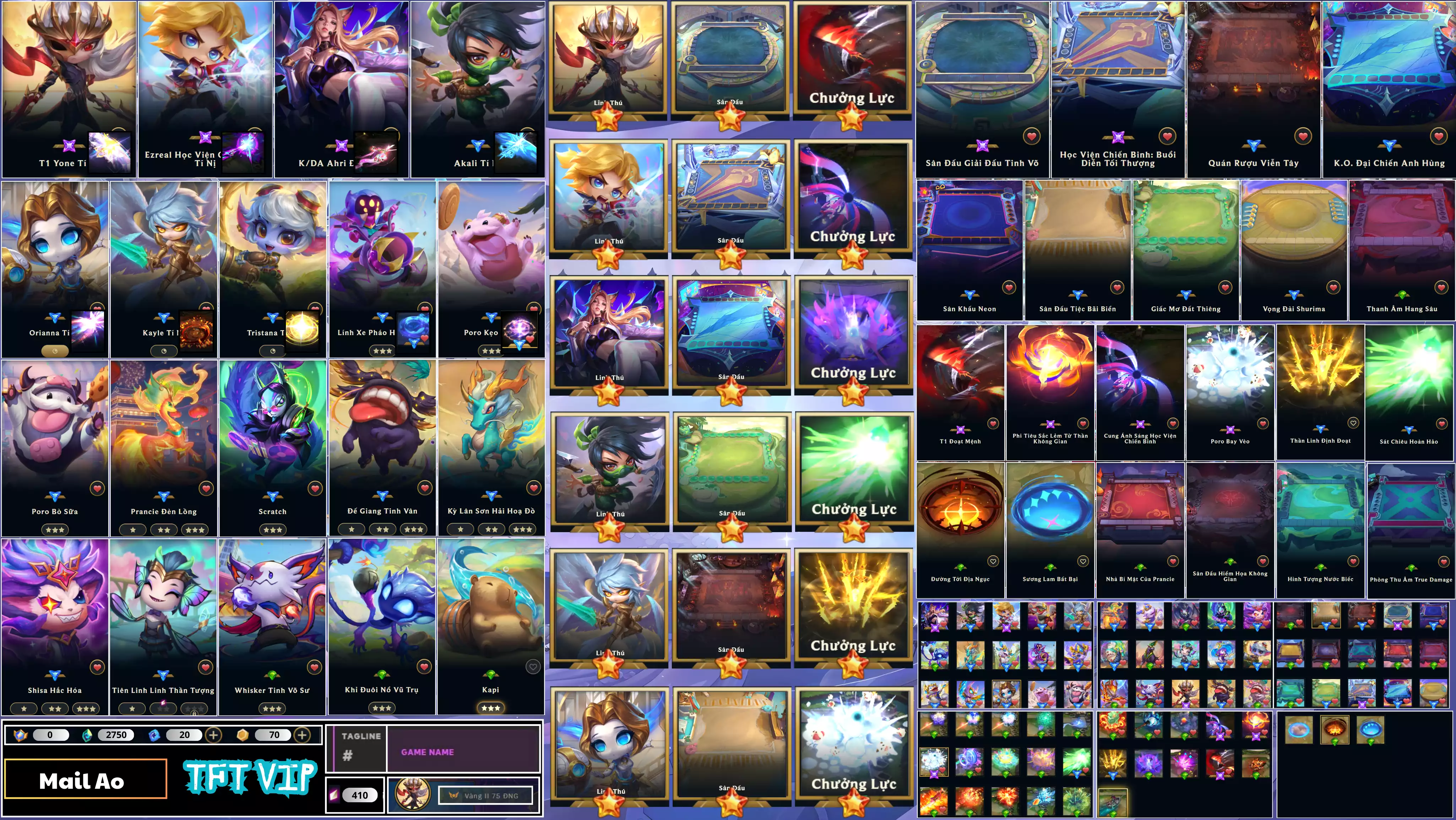 Combo Đẹp - 3 Pet Tím - 2 Sàn Tím - Chưởng Đẹp